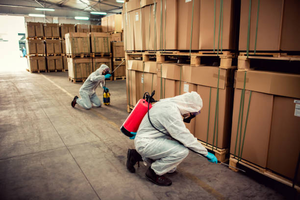Best Termite Control Services  in Granville, OH