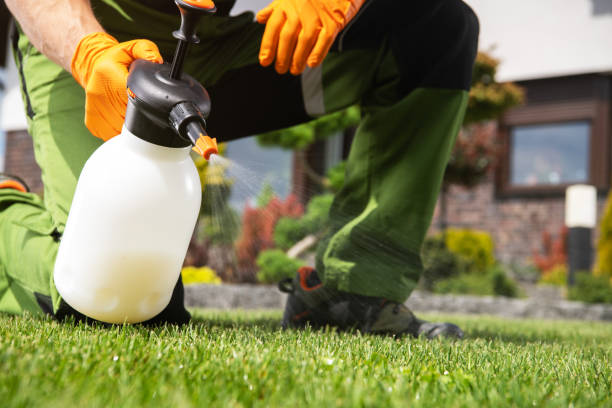 Best Bird Control  in Granville, OH