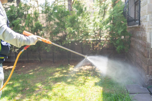 Best Flea Control Services  in Granville, OH