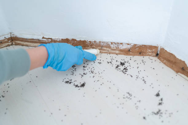 Best Emergency Pest Control  in Granville, OH