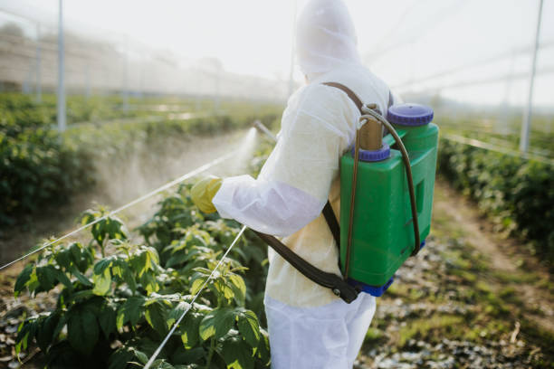 Best Pest Control for Businesses  in Granville, OH